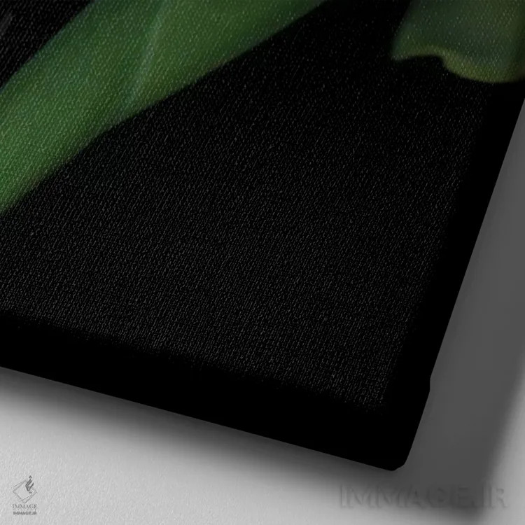 تابلو دکوراتیو ایریسیمه اثر مگدا ایندیگو - نمای نزدیک بافت بوم