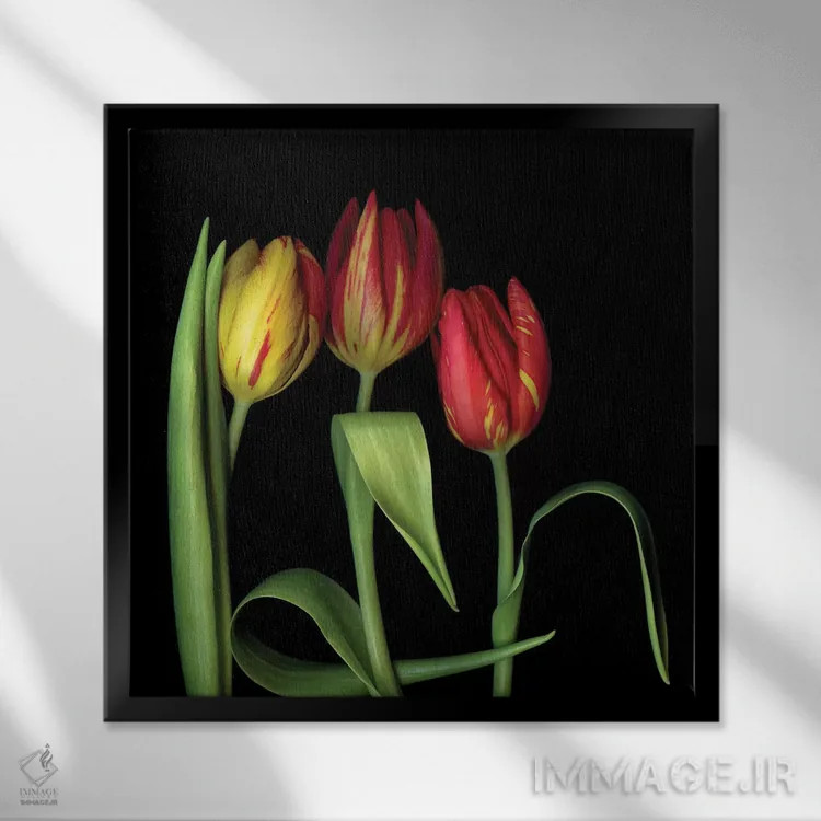 تابلو دکوراتیو لاله یازدهم اثر مگدا ایندیگو - نمای قابدار مشکی