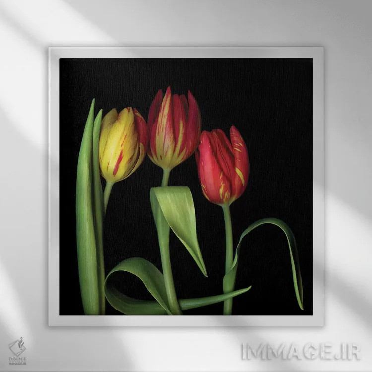 تابلو دکوراتیو لاله یازدهم اثر مگدا ایندیگو - نمای قابدار سفید