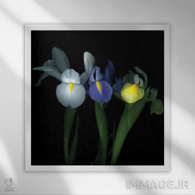 تابلو دکوراتیو ایریسیمه اثر مگدا ایندیگو - نمای قابدار سفید