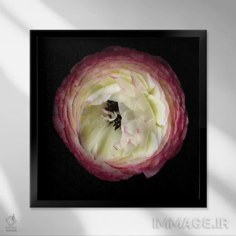 تابلو دکوراتیو نور درون اثر مگدا ایندیگو - نمای قابدار مشکی