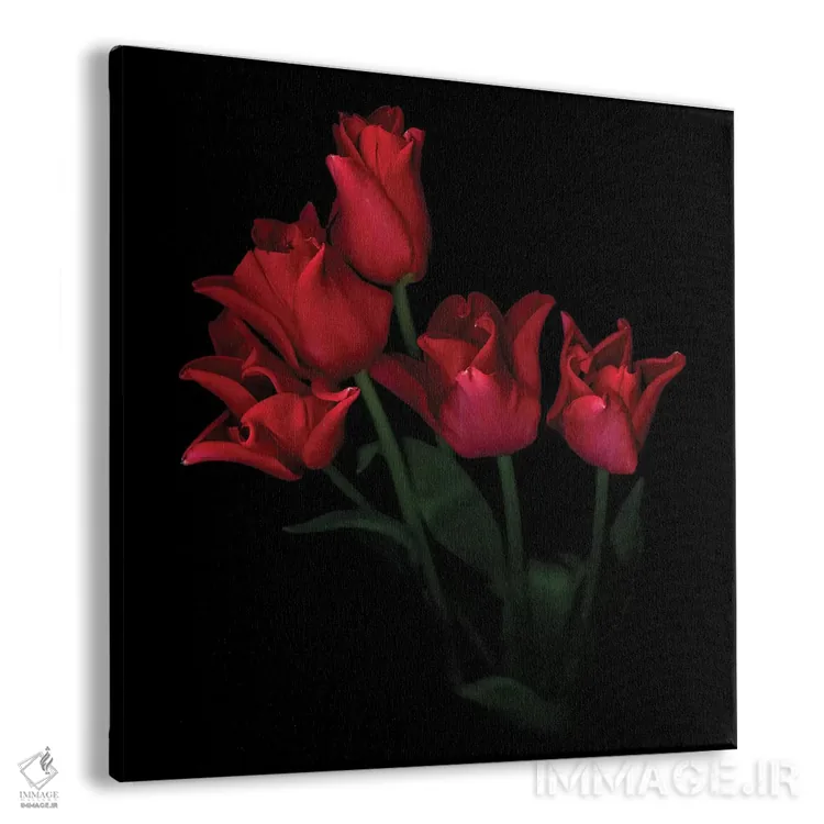 تابلو دکوراتیو لاله تاج قرمز پنجم اثر مگدا ایندیگو - نمای پرسپکتیو محصول