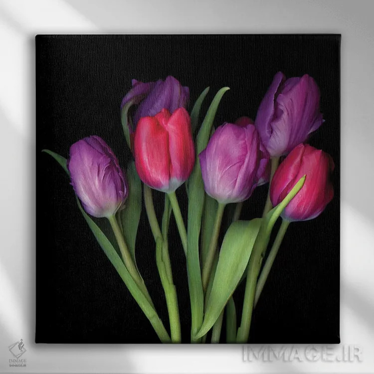 تابلو دکوراتیو لاله بنفش سیزدهم اثر مگدا ایندیگو - نمای روبهرو روی دیوار