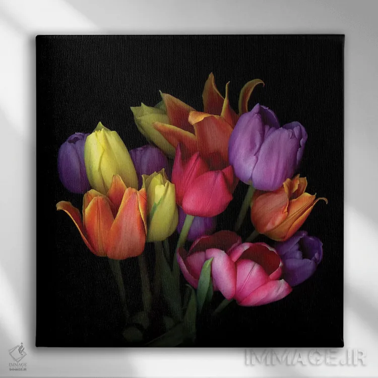 تابلو دکوراتیو لاله شعله ای نهم اثر مگدا ایندیگو - نمای روبهرو روی دیوار