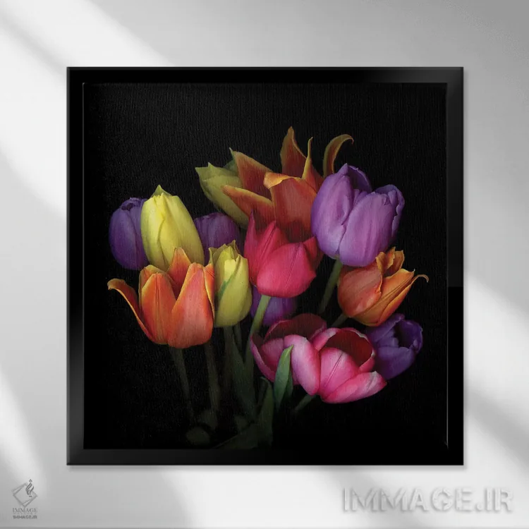 تابلو دکوراتیو لاله شعله ای نهم اثر مگدا ایندیگو - نمای قابدار مشکی