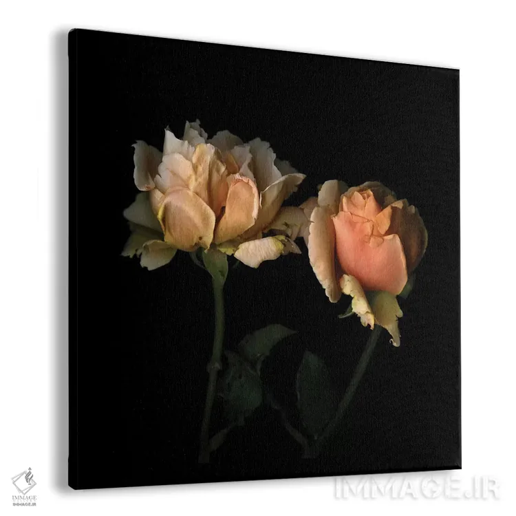 تابلو دکوراتیو زندگی به رنگ رز اثر مگدا ایندیگو - نمای پرسپکتیو محصول