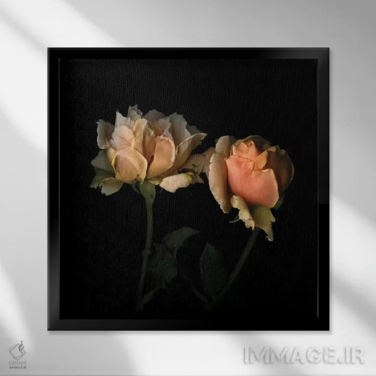 تابلو دکوراتیو زندگی به رنگ رز اثر مگدا ایندیگو - نمای قابدار مشکی