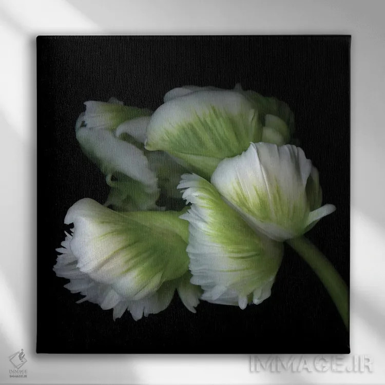 تابلو دکوراتیو لاله های طوطی یازدهم اثر مگدا ایندیگو - نمای روبهرو روی دیوار