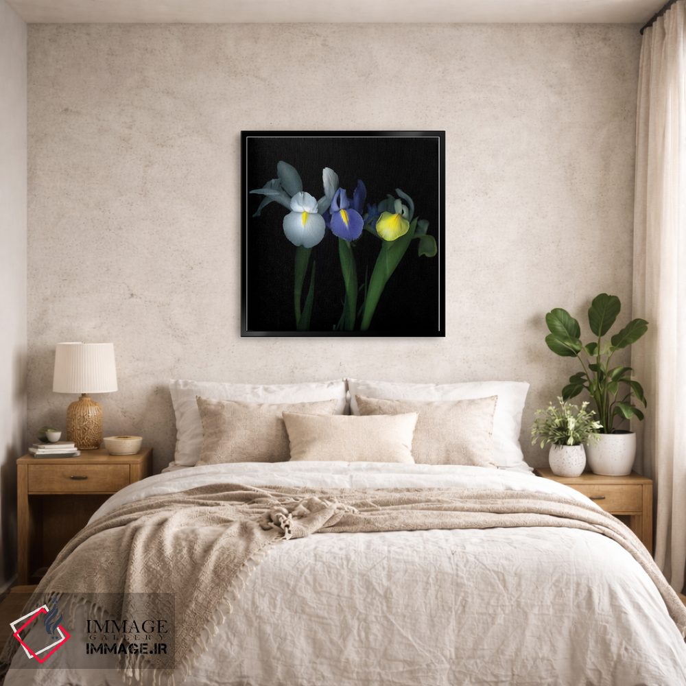 تابلو دکوراتیو ایریسیمه اثر مگدا ایندیگو - D6B