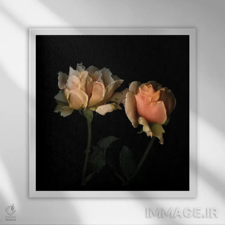 تابلو دکوراتیو زندگی به رنگ رز اثر مگدا ایندیگو - نمای قابدار سفید