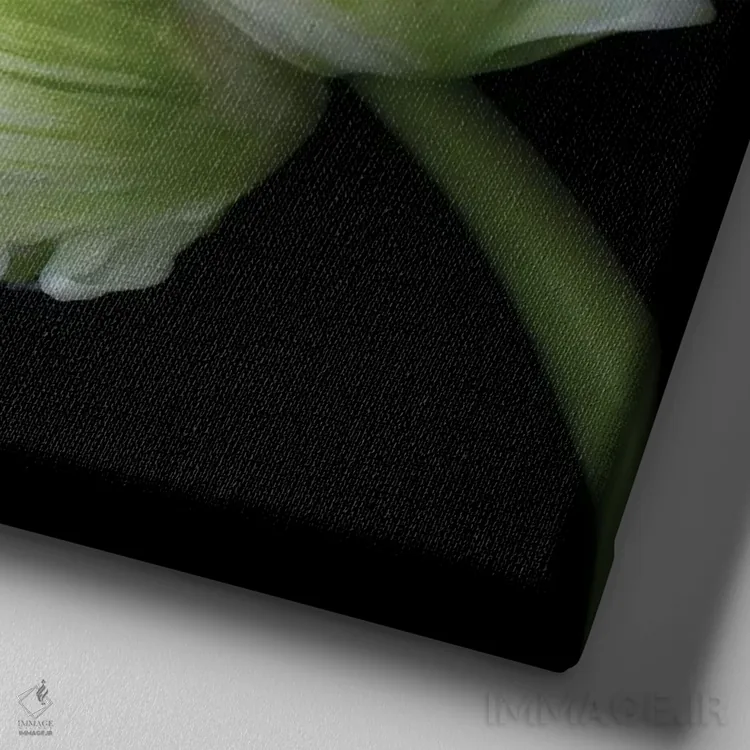 تابلو دکوراتیو لاله های طوطی یازدهم اثر مگدا ایندیگو - نمای نزدیک بافت بوم