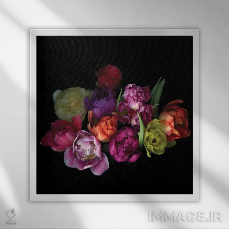 تابلو دکوراتیو ترکیب لاله ها یازدهم اثر مگدا ایندیگو - نمای قابدار سفید