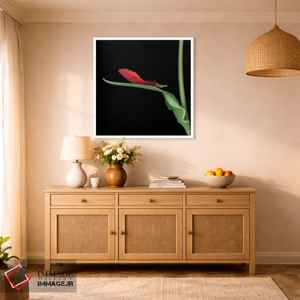تابلو دکوراتیو لاله طوطی قرمز چهاردهم اثر مگدا ایندیگو - D1W