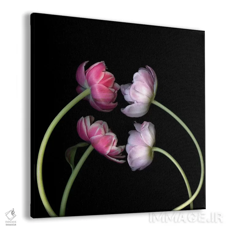 تابلو دکوراتیو لاله های صورتی اول اثر مگدا ایندیگو - نمای پرسپکتیو محصول