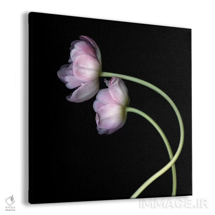 تابلو دکوراتیو لاله های صورتی دوم اثر مگدا ایندیگو - نمای پرسپکتیو محصول