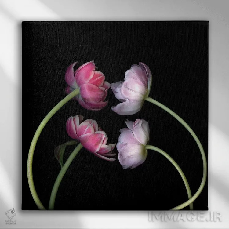 تابلو دکوراتیو لاله های صورتی اول اثر مگدا ایندیگو - نمای روبهرو روی دیوار