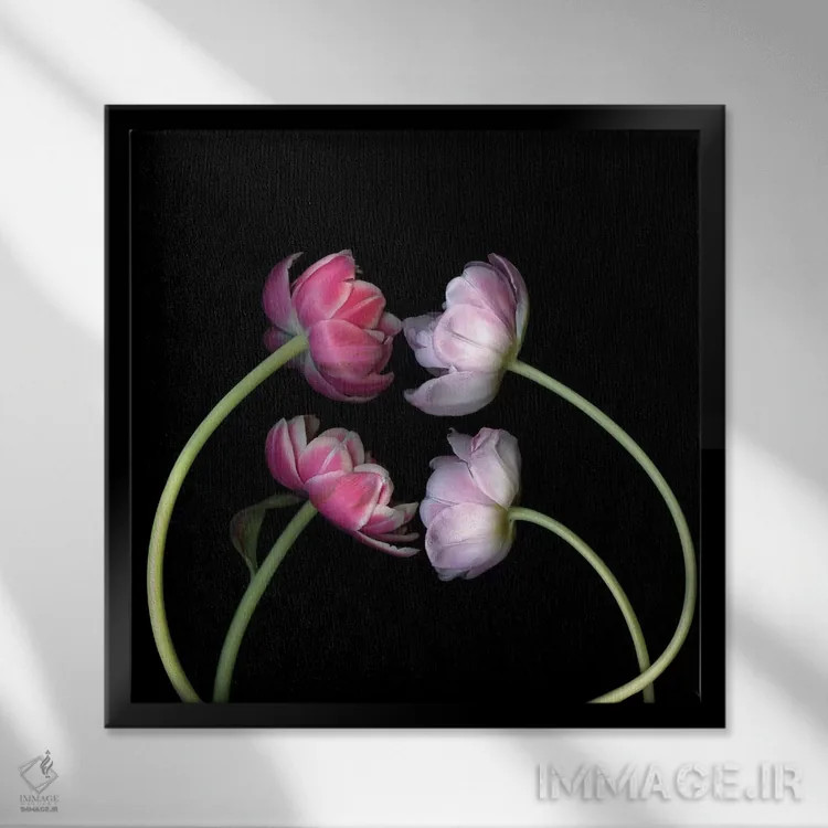 تابلو دکوراتیو لاله های صورتی اول اثر مگدا ایندیگو - نمای قابدار مشکی