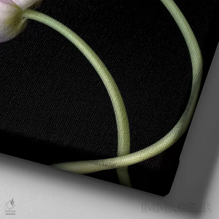 تابلو دکوراتیو لاله های صورتی اول اثر مگدا ایندیگو - نمای نزدیک بافت بوم