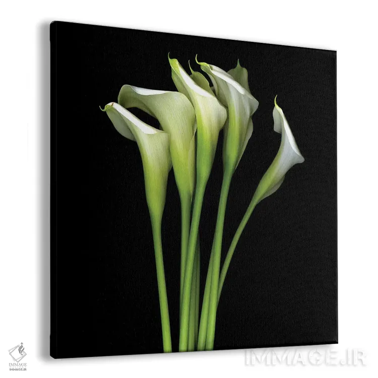 تابلو دکوراتیو کالای سفید سیزدهم اثر مگدا ایندیگو - نمای پرسپکتیو محصول