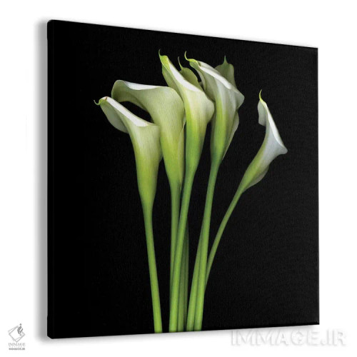 تابلو دکوراتیو کالای سفید سیزدهم اثر مگدا ایندیگو - نمای پرسپکتیو محصول