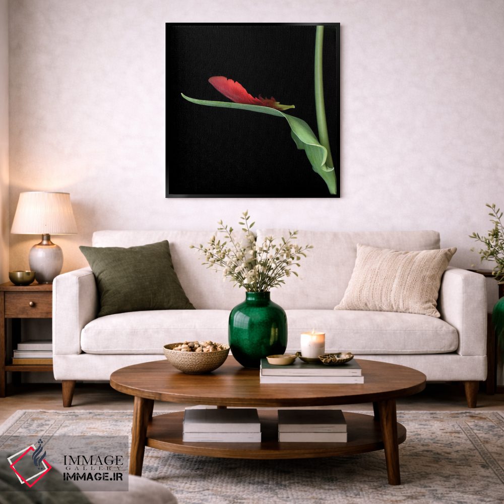 تابلو دکوراتیو لاله طوطی قرمز چهاردهم اثر مگدا ایندیگو - D4B