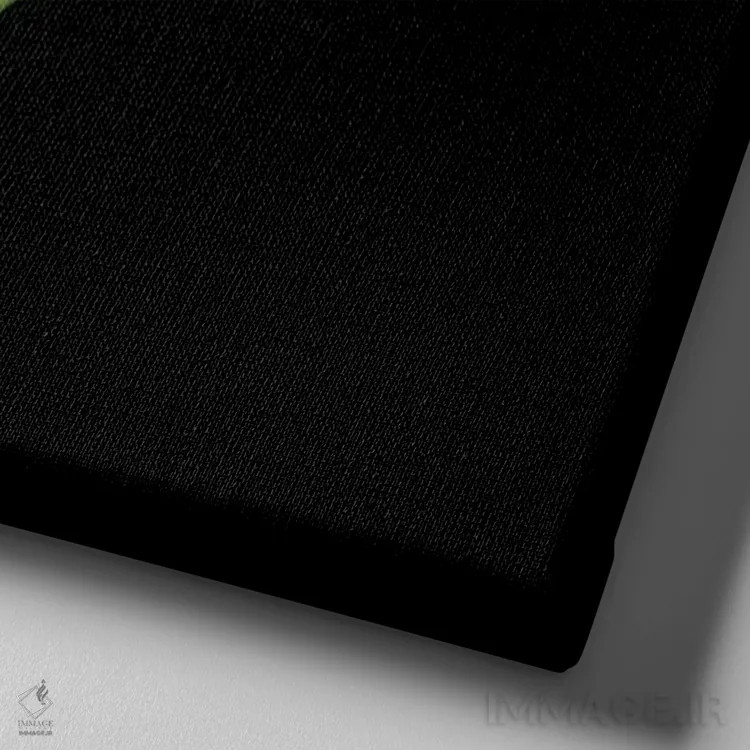 تابلو دکوراتیو کالای سفید سیزدهم اثر مگدا ایندیگو - نمای نزدیک بافت بوم