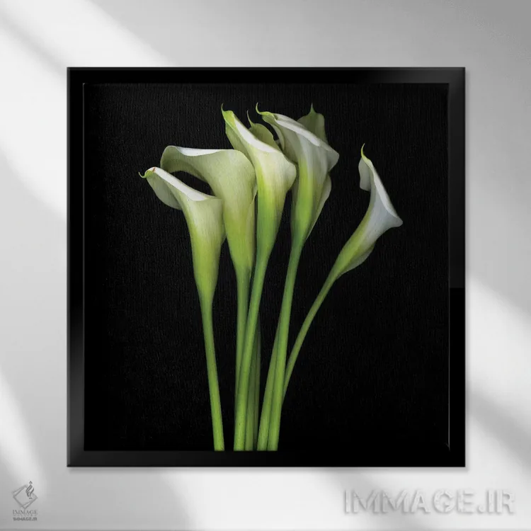 تابلو دکوراتیو کالای سفید سیزدهم اثر مگدا ایندیگو - نمای قابدار مشکی