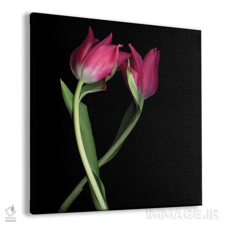 تابلو دکوراتیو لاله های صورتی یک اثر مگدا ایندیگو - نمای پرسپکتیو محصول