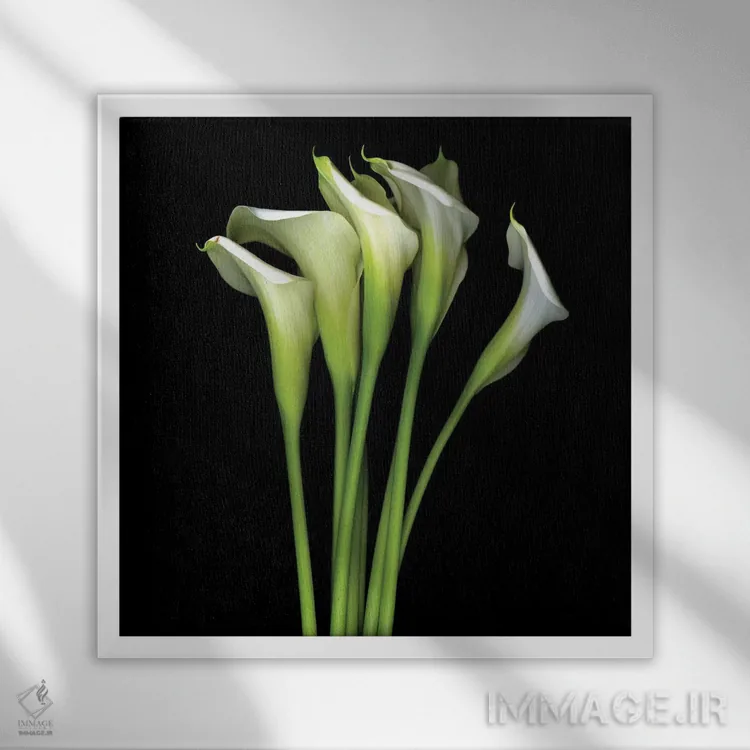 تابلو دکوراتیو کالای سفید سیزدهم اثر مگدا ایندیگو - نمای قابدار سفید