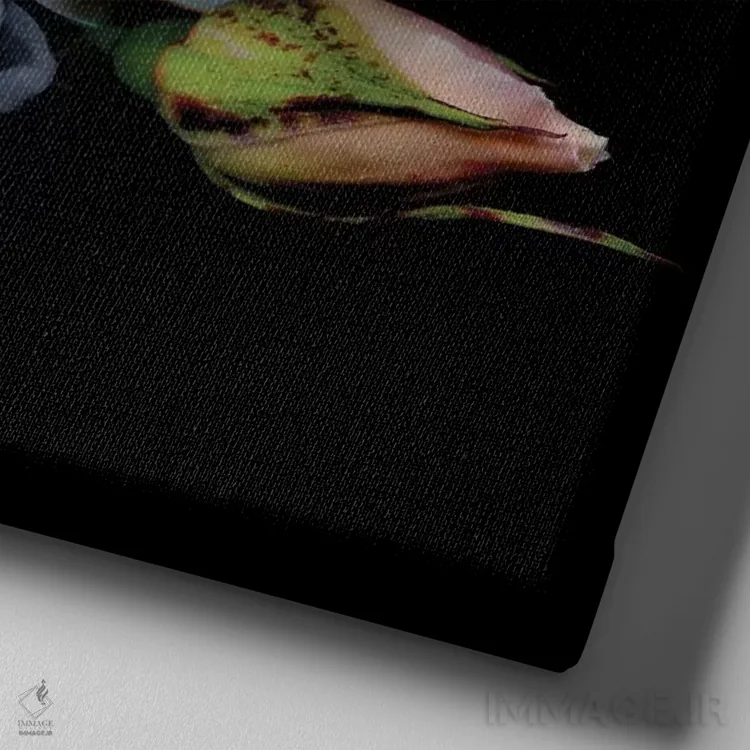 تابلو دکوراتیو رز سفید یک اثر مگدا ایندیگو - نمای نزدیک بافت بوم