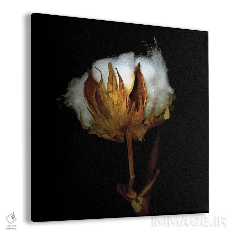 تابلو دکوراتیو پنبه کریسمس هفتاد و پنجم اثر مگدا ایندیگو - نمای پرسپکتیو محصول