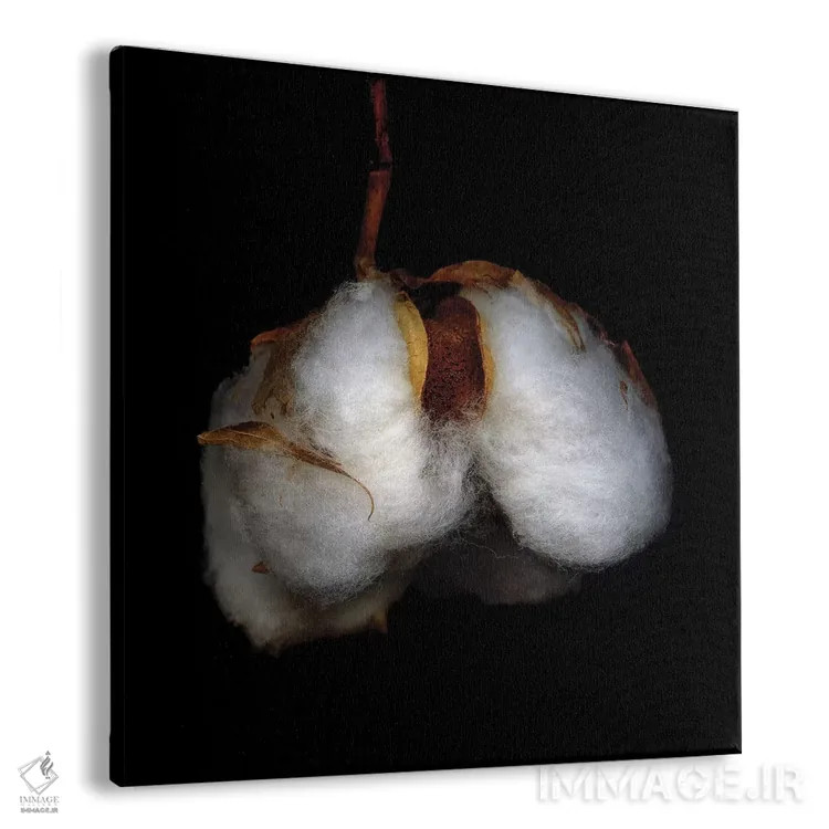 تابلو دکوراتیو پنبه کریسمس هفتاد و هشتم اثر مگدا ایندیگو - نمای پرسپکتیو محصول