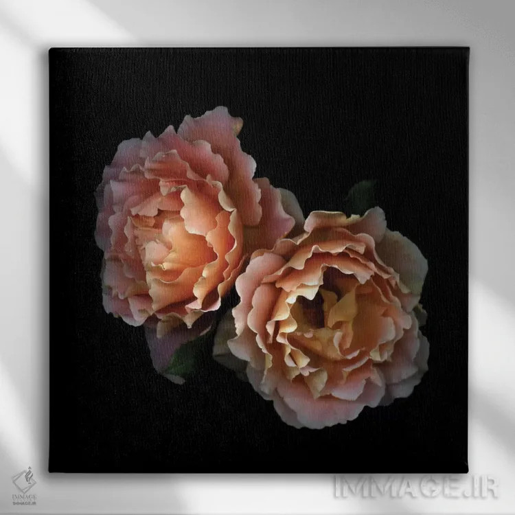 تابلو دکوراتیو زمان گل های رز اثر مگدا ایندیگو - نمای روبهرو روی دیوار