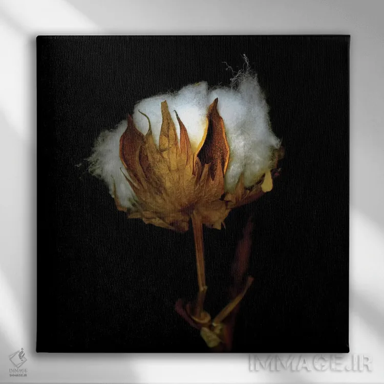 تابلو دکوراتیو پنبه کریسمس هفتاد و پنجم اثر مگدا ایندیگو - نمای روبهرو روی دیوار