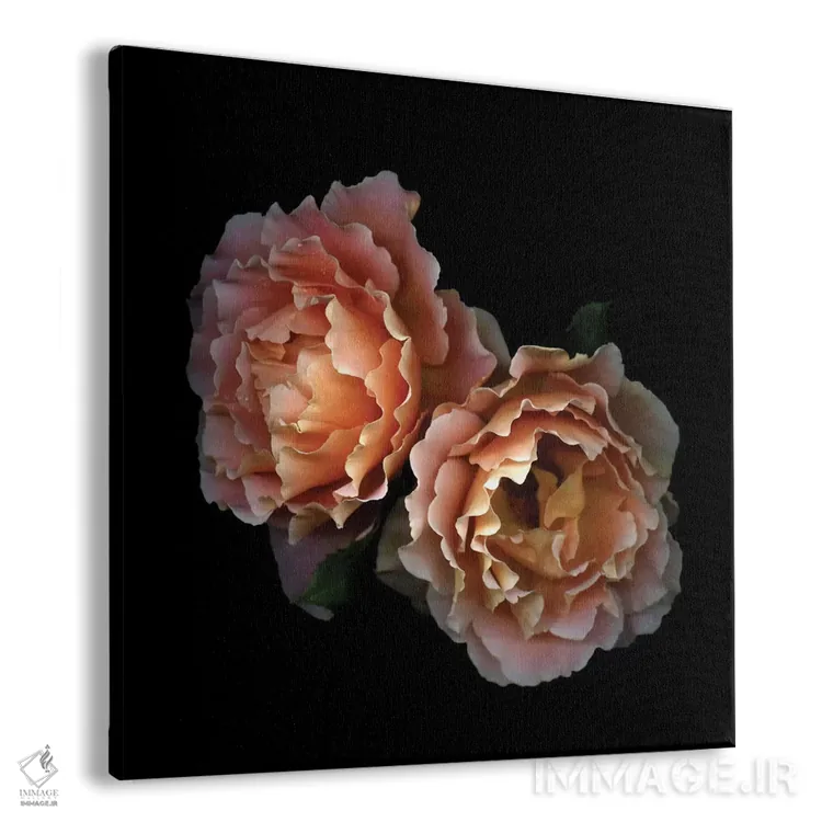 تابلو دکوراتیو زمان گل های رز اثر مگدا ایندیگو - نمای پرسپکتیو محصول