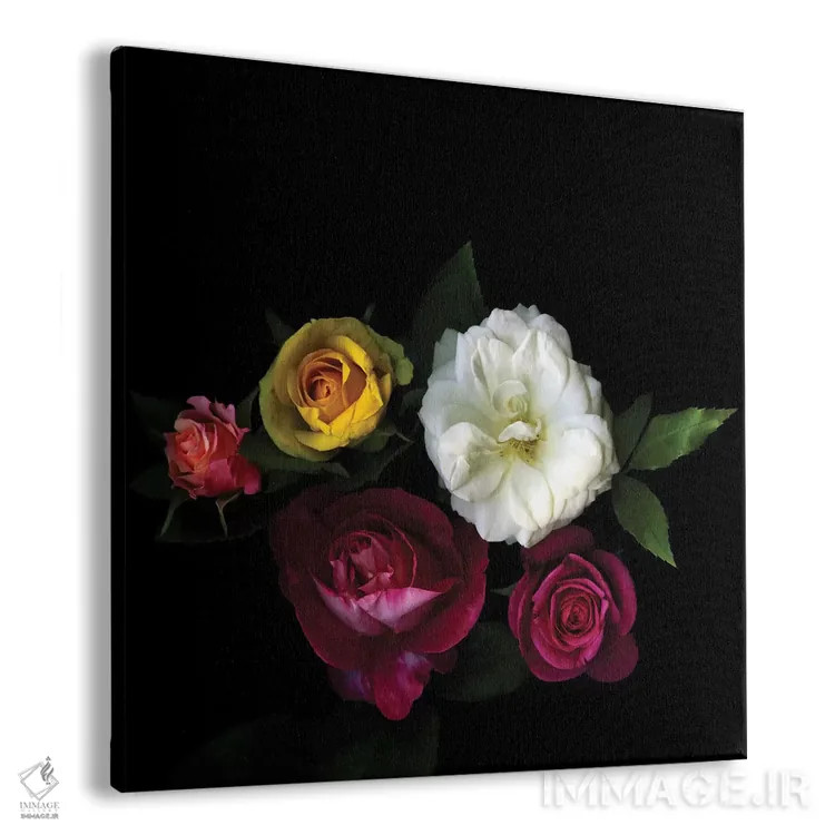 تابلو دکوراتیو جشنواره ای از رز اثر مگدا ایندیگو - نمای پرسپکتیو محصول