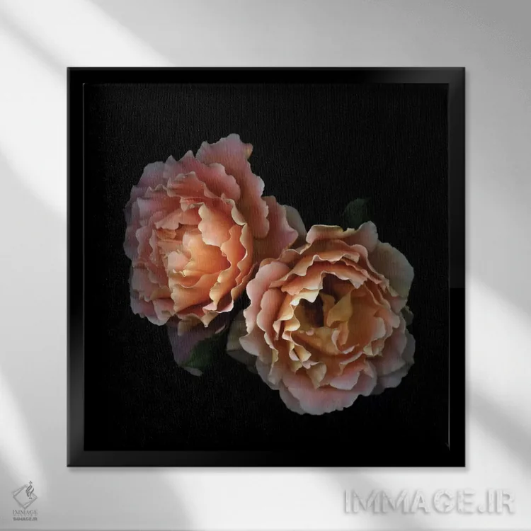 تابلو دکوراتیو زمان گل های رز اثر مگدا ایندیگو - نمای قابدار مشکی