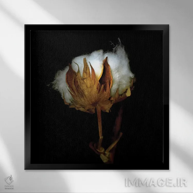 تابلو دکوراتیو پنبه کریسمس هفتاد و پنجم اثر مگدا ایندیگو - نمای قابدار مشکی