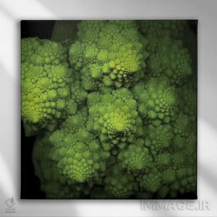 تابلو دکوراتیو بروکوفلاور سبز لیمویی اثر مگدا ایندیگو - نمای روبهرو روی دیوار