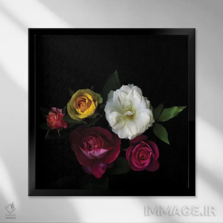 تابلو دکوراتیو جشنواره ای از رز اثر مگدا ایندیگو - نمای قابدار مشکی