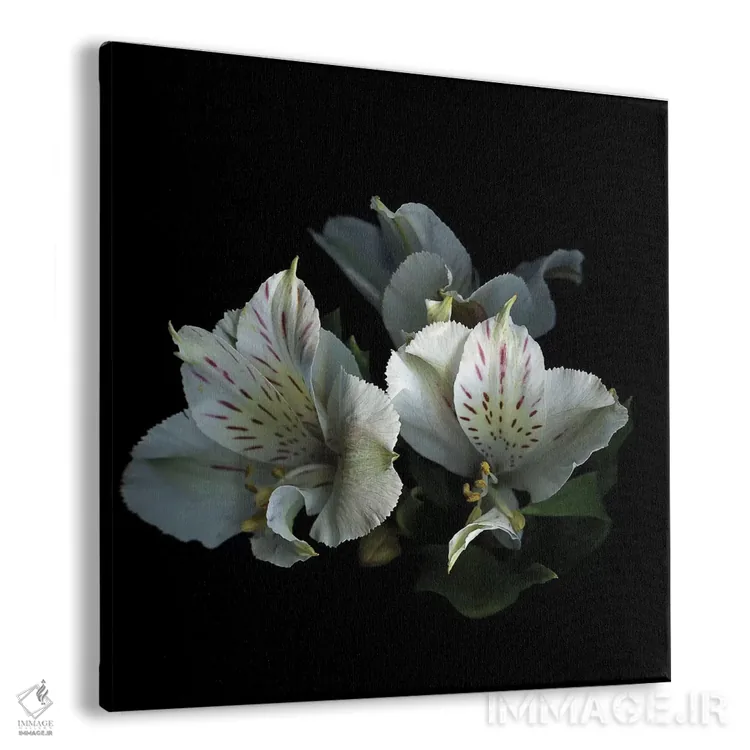 تابلو دکوراتیو از نو شروع کنیم اثر مگدا ایندیگو - نمای پرسپکتیو محصول