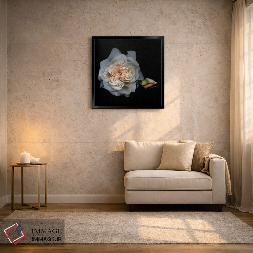 تابلو دکوراتیو رز سفید یک اثر مگدا ایندیگو - D2B