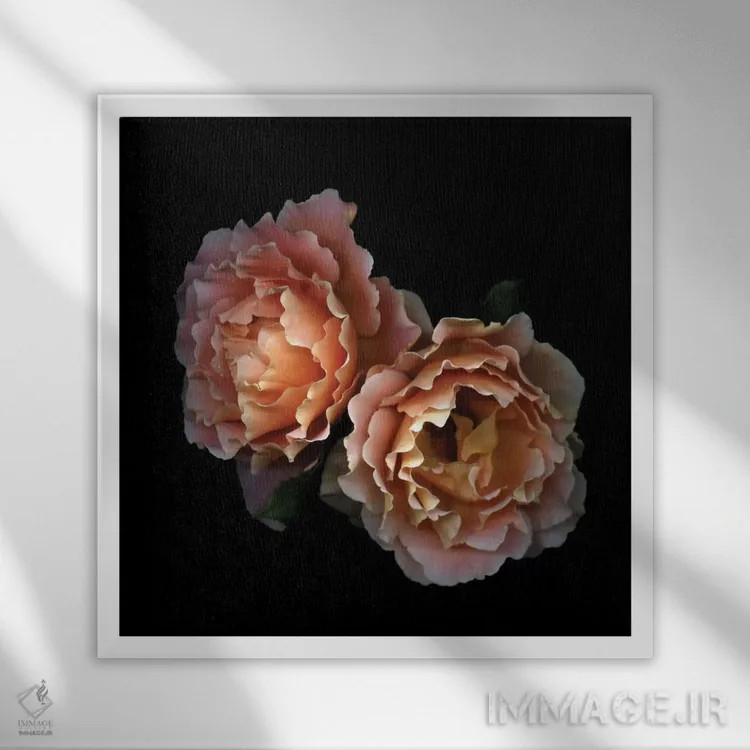 تابلو دکوراتیو زمان گل های رز اثر مگدا ایندیگو - نمای قابدار سفید