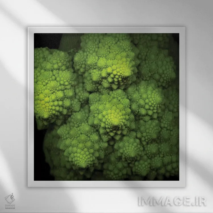 تابلو دکوراتیو بروکوفلاور سبز لیمویی اثر مگدا ایندیگو - نمای قابدار سفید