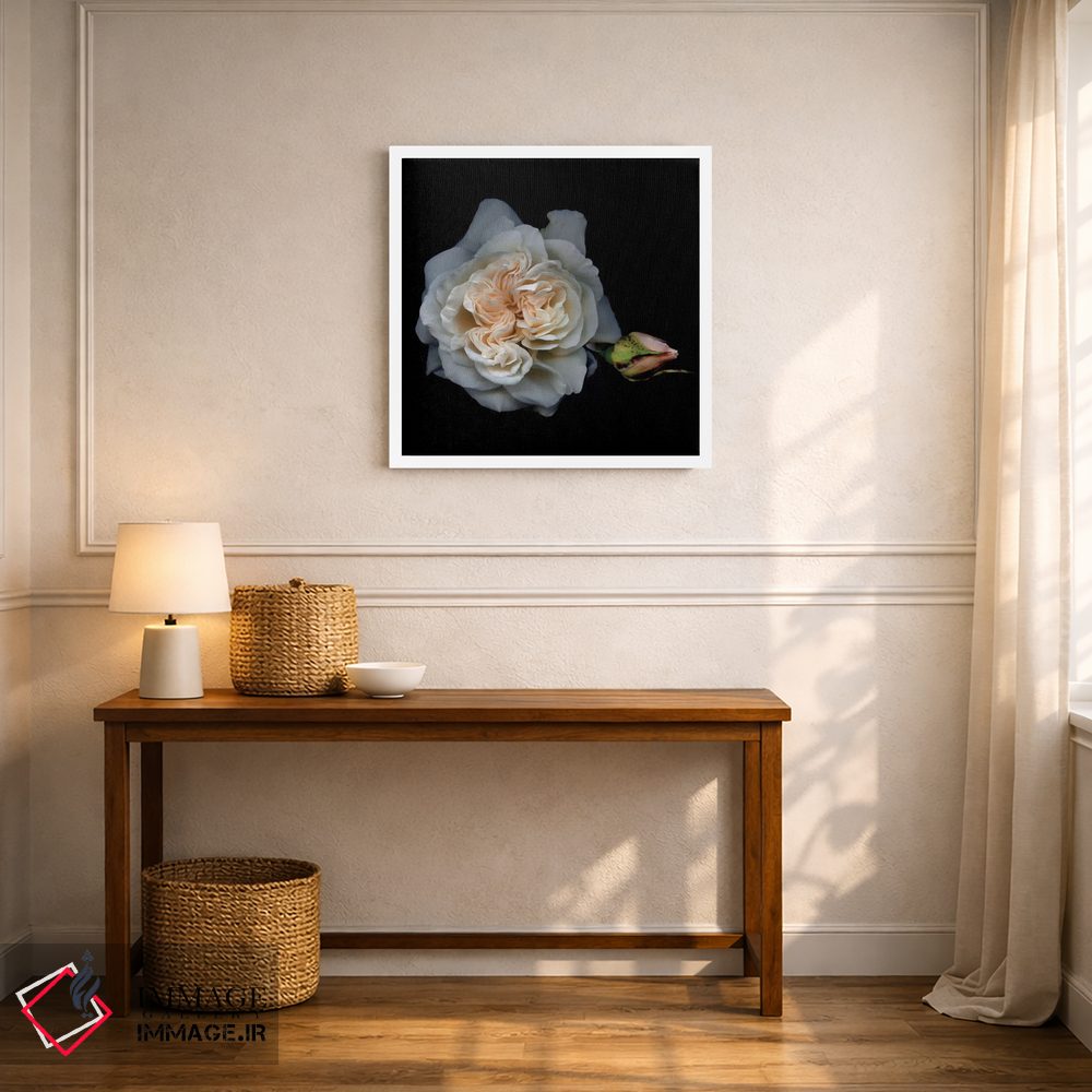 تابلو دکوراتیو رز سفید یک اثر مگدا ایندیگو - D5W