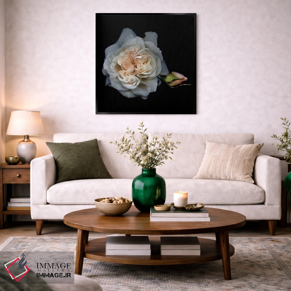 تابلو دکوراتیو رز سفید یک اثر مگدا ایندیگو - D3B
