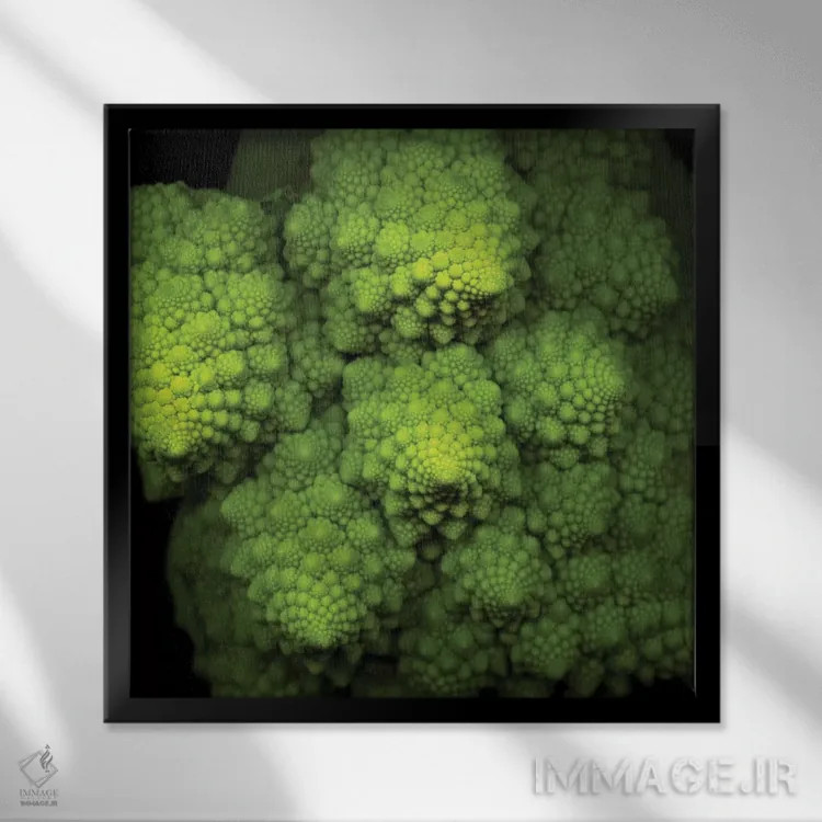 تابلو دکوراتیو بروکوفلاور سبز لیمویی اثر مگدا ایندیگو - نمای قابدار مشکی