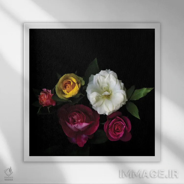 تابلو دکوراتیو جشنواره ای از رز اثر مگدا ایندیگو - نمای قابدار سفید