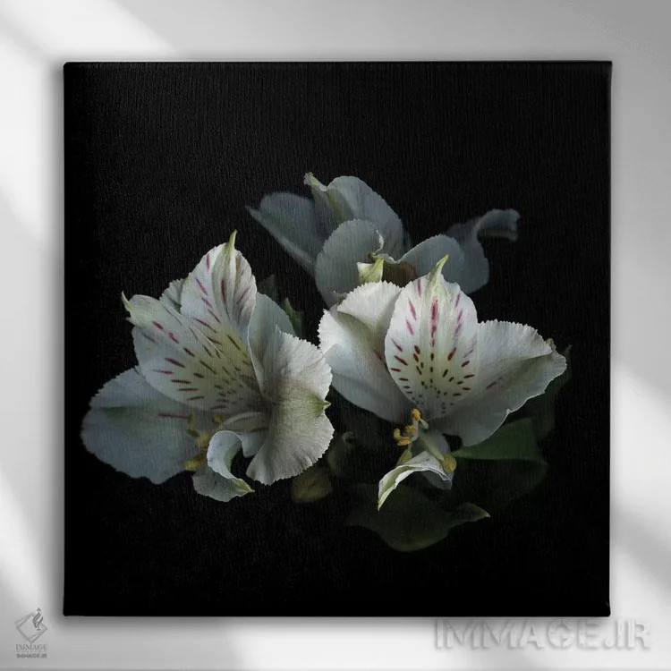 تابلو دکوراتیو از نو شروع کنیم اثر مگدا ایندیگو - نمای روبهرو روی دیوار