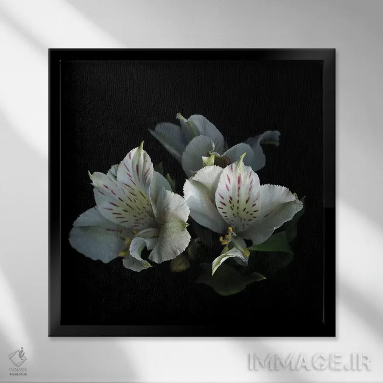 تابلو دکوراتیو از نو شروع کنیم اثر مگدا ایندیگو - نمای قابدار مشکی